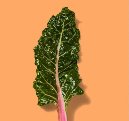 Swiss Chard