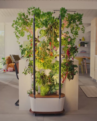 Gardyn plants growing time-lapse preview